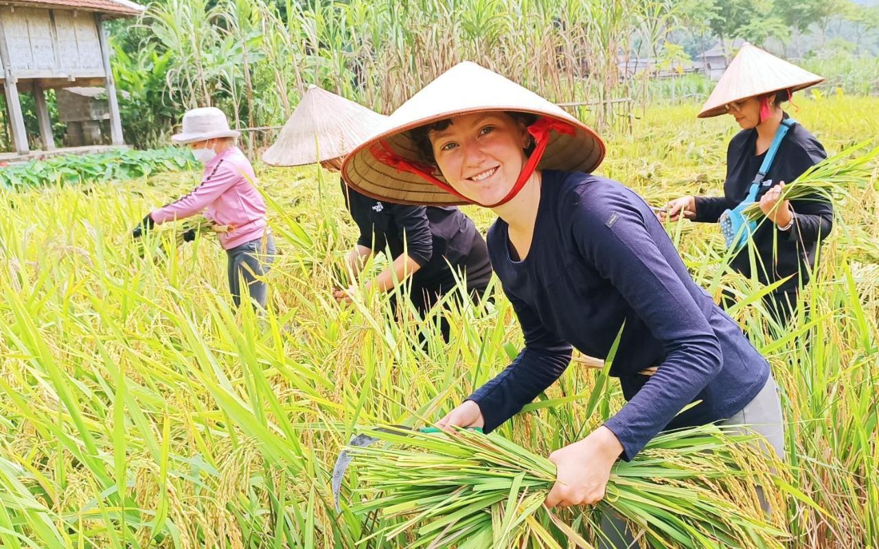 Truong Huy Homestay ไหมโจ๋ว ภายนอก รูปภาพ